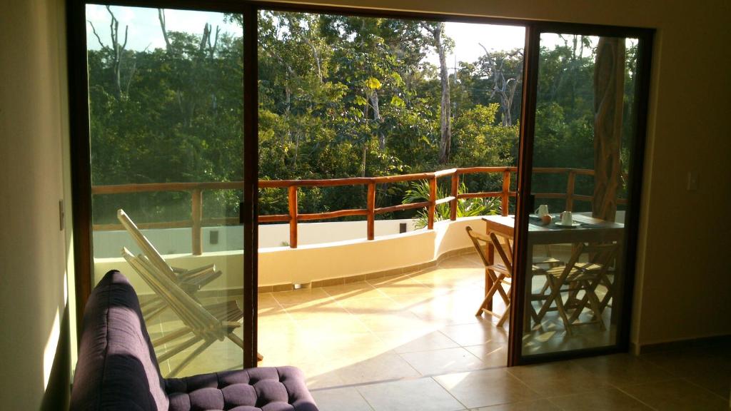 Selva Madre 203 room 2